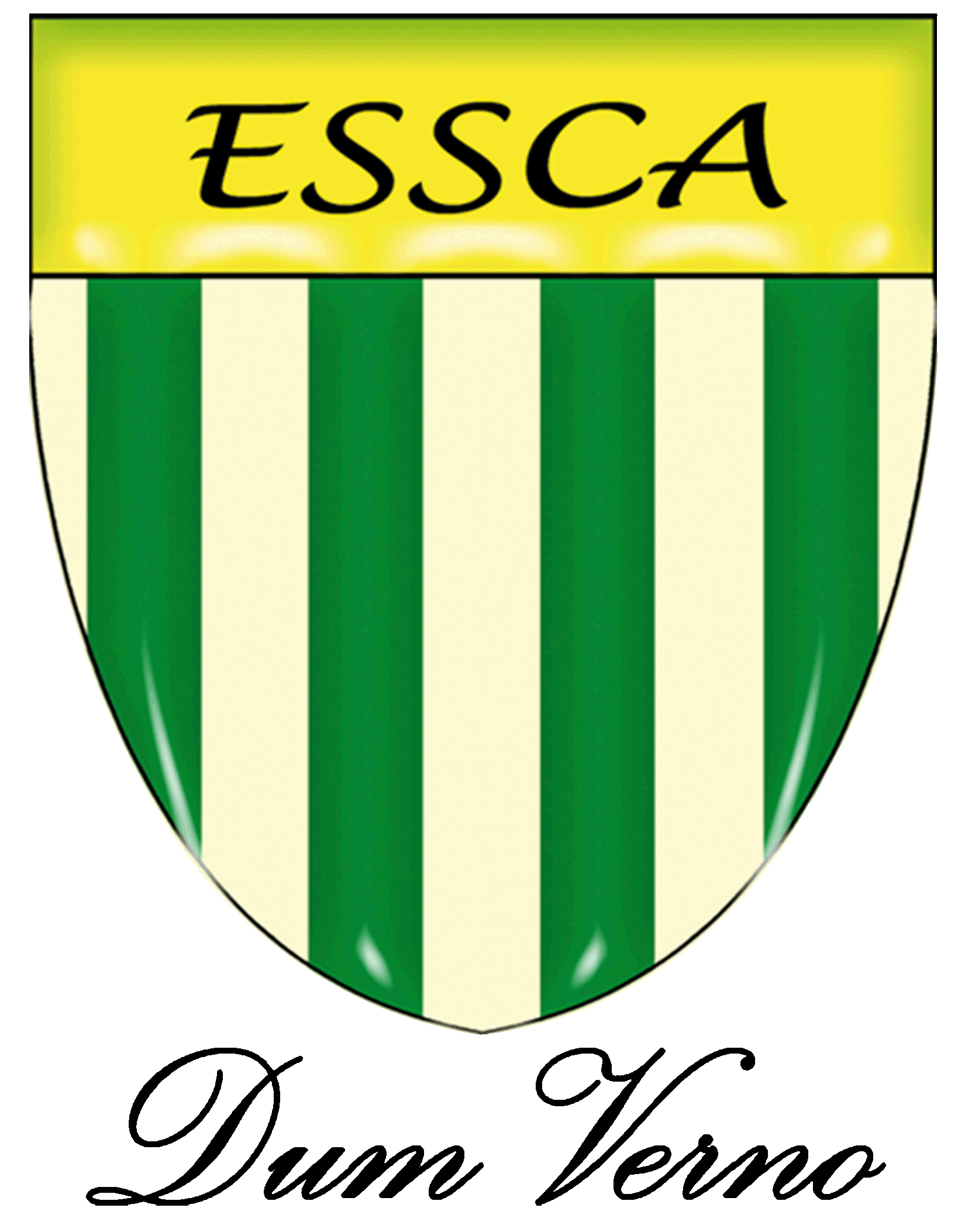 École Supérieure Sacré-Coeur Antanimena - Logo